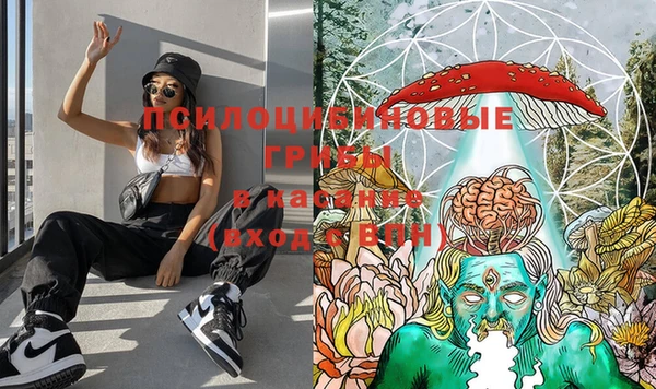 соль курить ск Пестово