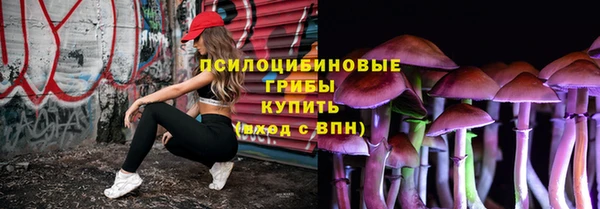 мяу мяу мука Алзамай